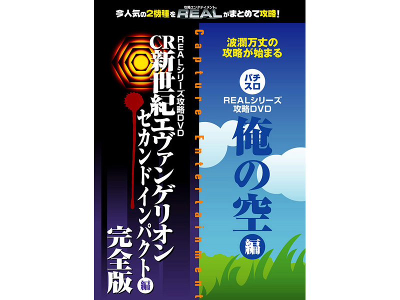 REALシリーズ攻略DVD パチンコ エヴァンゲリオンセカンドインパクト編完全版+パチスロ 俺の空編