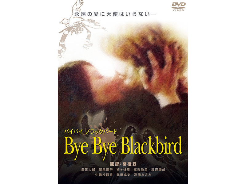 Bye Bye Blackbird