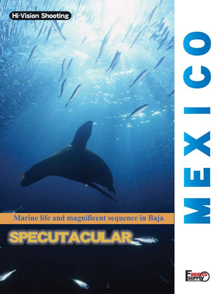 メキシコ SPECTACULAR